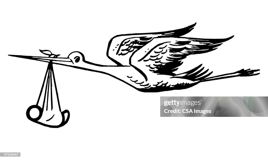 Stork with baby