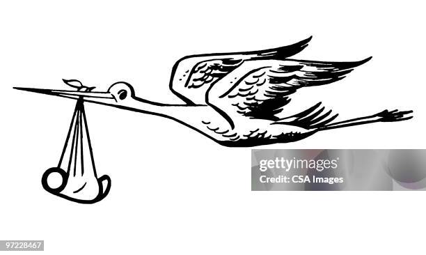 stork with baby - newborn baby stock illustrations