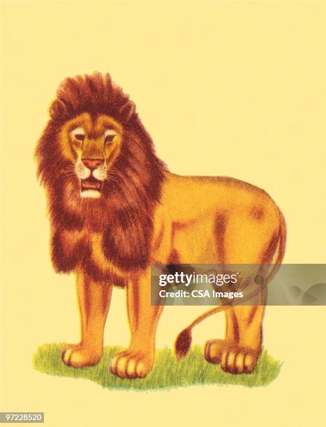 lion - 20th century stock illustrations