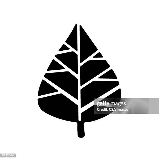 feather - single object stock illustrations