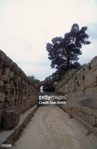 The passageway leading to the stadium at the site of the Ancient Olympic Games in Olympia in Greece.