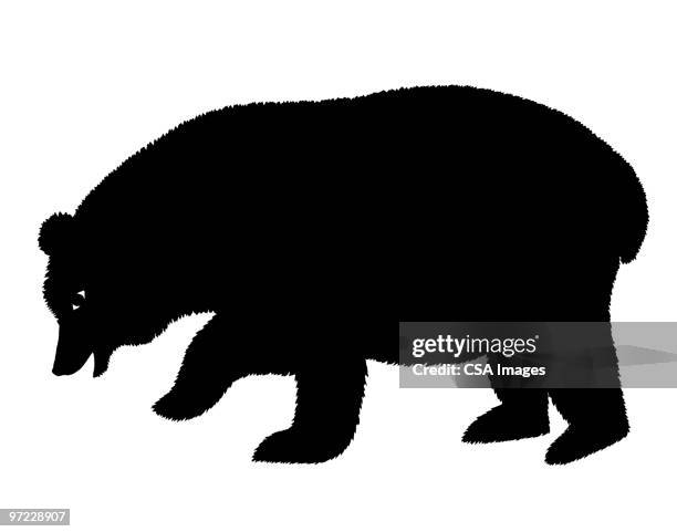 bear - bear illustration stock illustrations