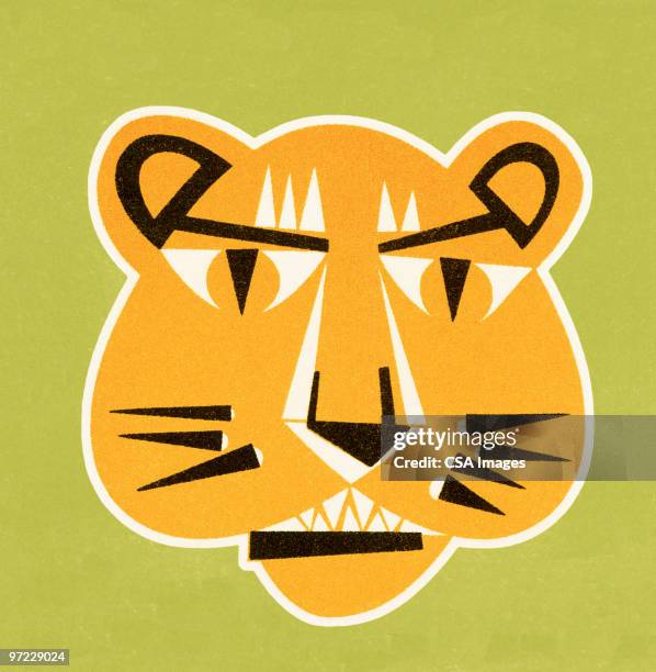tiger - tiger face stock illustrations
