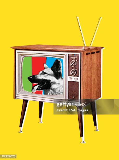 ilustrações de stock, clip art, desenhos animados e ícones de cão pastor alemão cão no ecrã de tv - television show