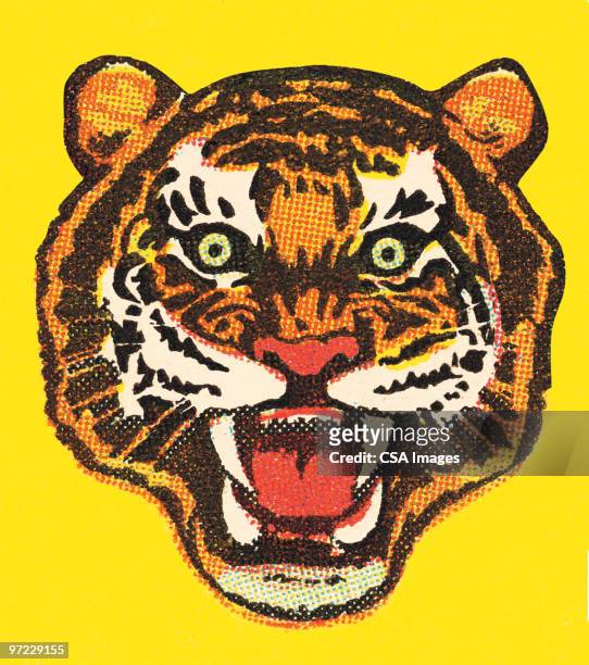 ilustraciones, imágenes clip art, dibujos animados e iconos de stock de tiger - wildcat animal
