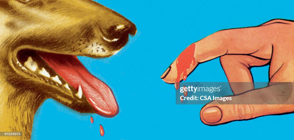 Dog Drooling Over Bloody Finger