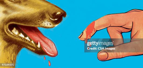 dog drooling over bloody finger - chewing stock illustrations