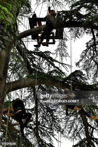 People sit at a table perched in a Ceder tree tasting Sauternes at Chateau Rayne Vigneau in Bommes May 14, 2018. - A sweet wine that is savoured with...