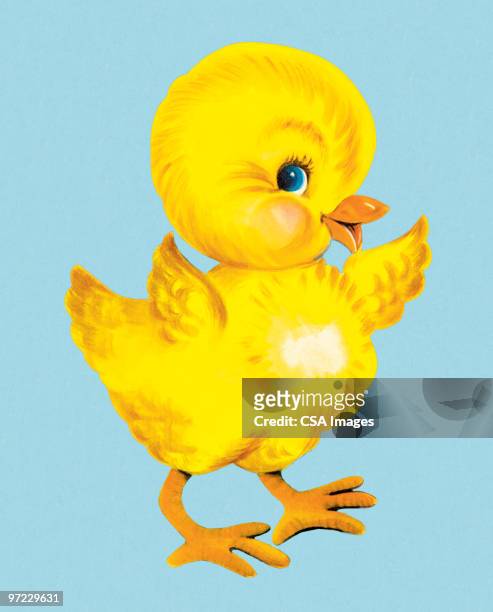 chick - young bird stock illustrations