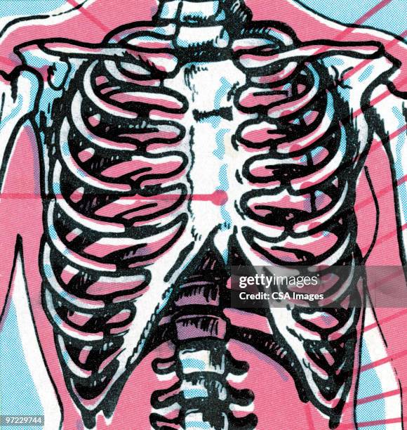 science and industry - human rib cage stock illustrations