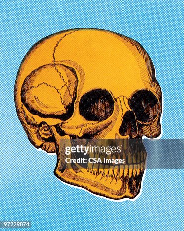 Skull Skull