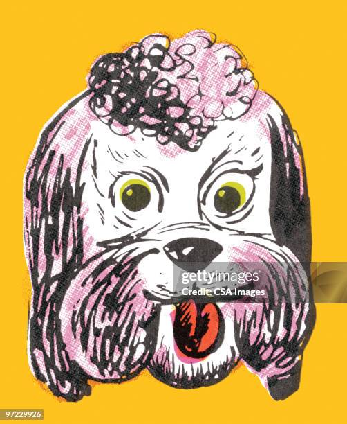 poodle - panting stock illustrations