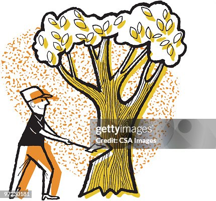 Chopping a Tree Chopping a Tree