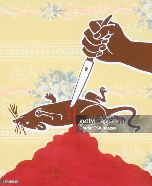 stabbed bleeding rat - stab stock illustrations