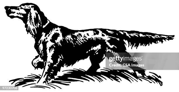 dog - animals hunting stock illustrations