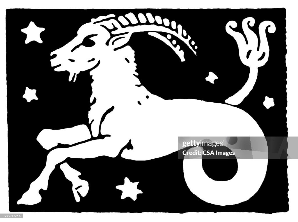 Capricorn