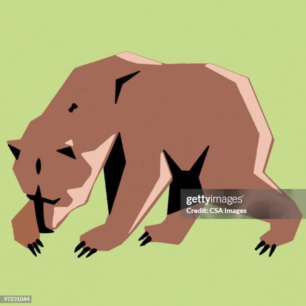 bear - bear fur stock illustrations