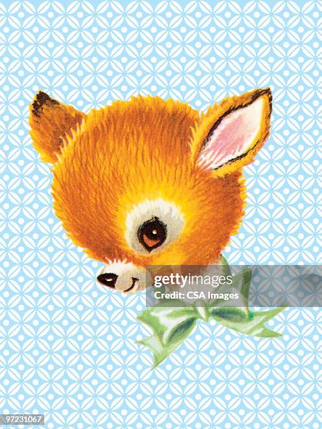 squirrel - deer head stock illustrations