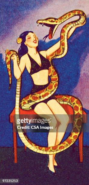 circus woman with snake - carnival valor stock illustrations