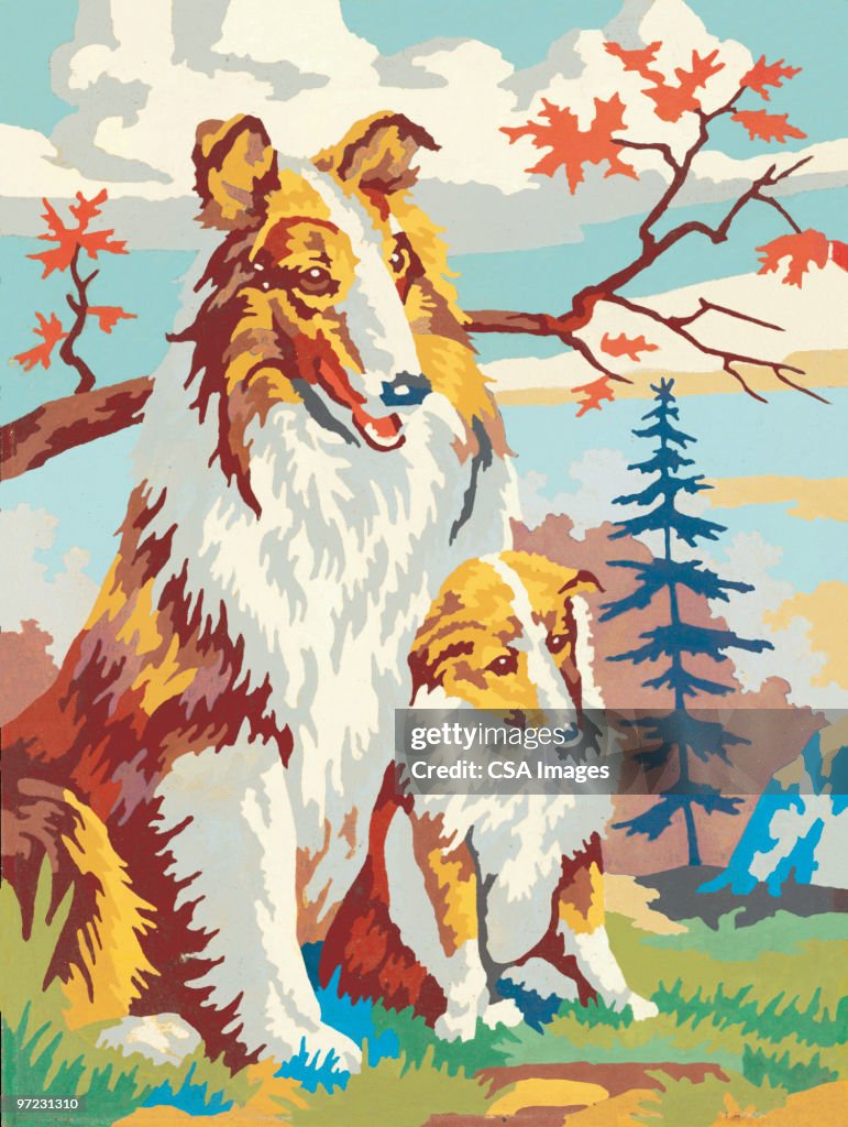 Paint-by-numbers collie
