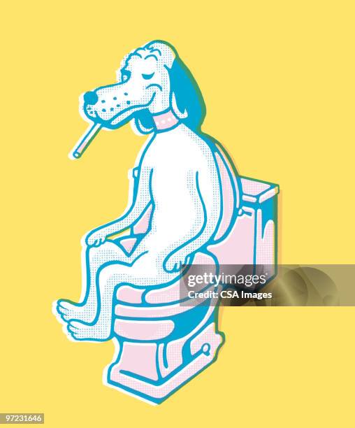 dog on the toilet - bathrooms stock illustrations