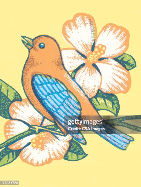 bird - bud stock illustrations