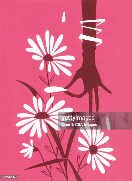 ilustraciones, imágenes clip art, dibujos animados e iconos de stock de flor pickin' - me quiere no me quiere