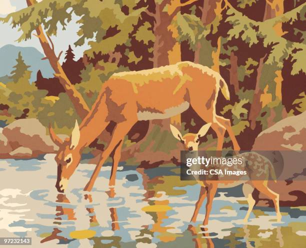 deer - deer creek stock illustrations