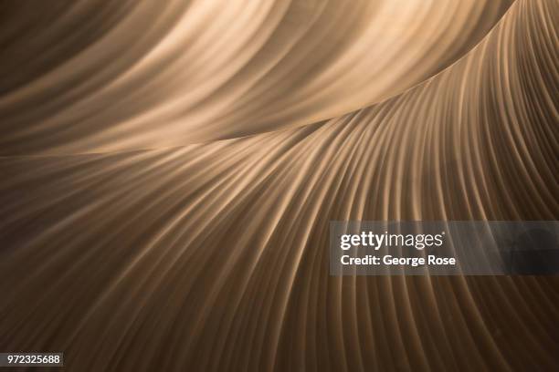 Brushed metal wall decoration at the J.W. Marriott Hotel is viewed on June 6, 2018 in Washington, D.C. The nation's capital, the sixth largest...