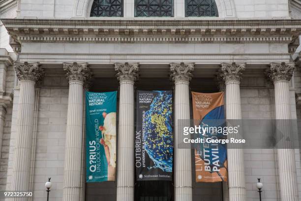 The exterior of the National Museum of Natural History is viewed on June 5, 2018 in Washington, D.C. The nation's capital, the sixth largest...