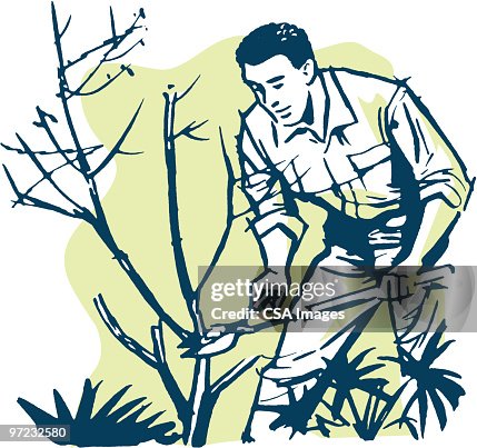 Pruning Pruning