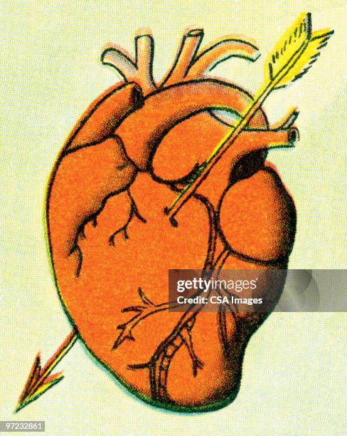 illustrazioni stock, clip art, cartoni animati e icone di tendenza di heart - cuore spezzato