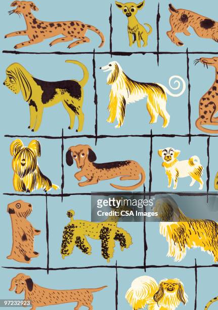 ilustraciones, imágenes clip art, dibujos animados e iconos de stock de dogs - perro de pura raza