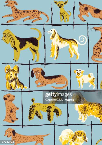 dogs - poodle pointer stock illustrations