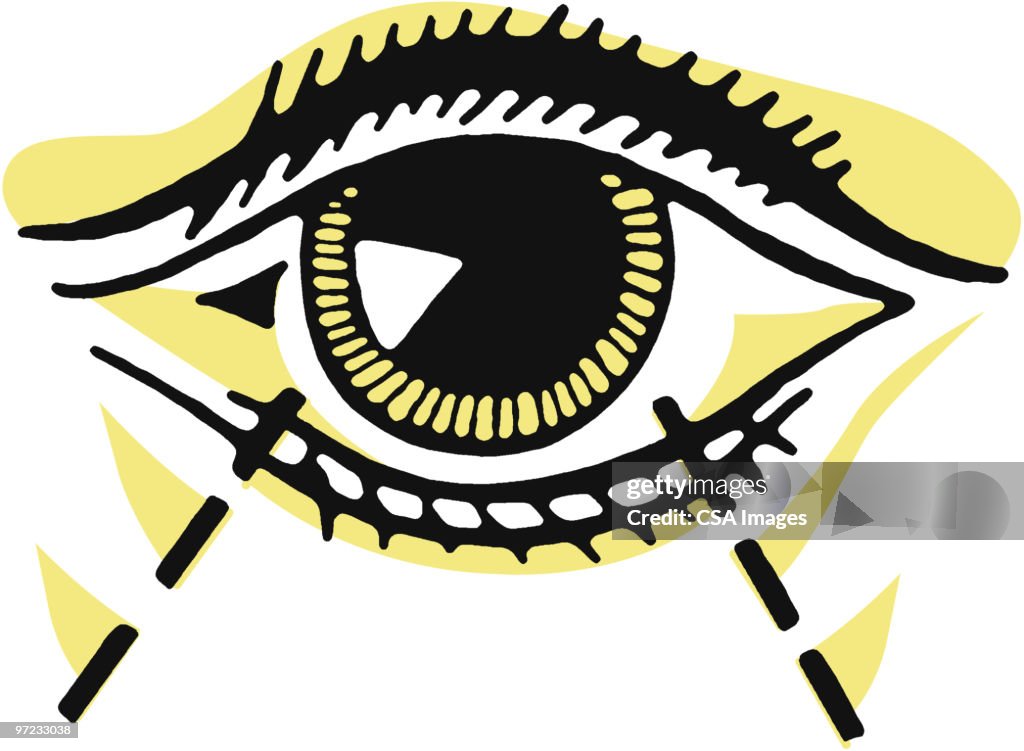 Eye