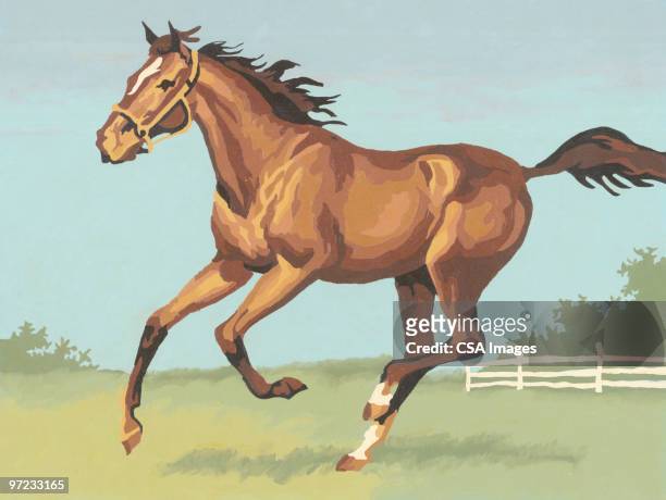 horse - horse illustration stock illustrations