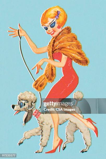 stockillustraties, clipart, cartoons en iconen met fashionable woman with dog - shawl