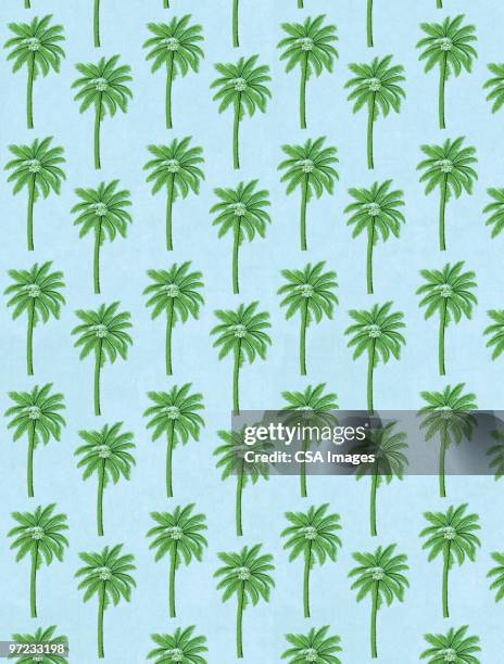 ilustrações, clipart, desenhos animados e ícones de abstract pattern - hawaii islands