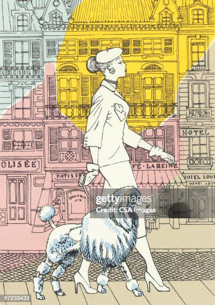 ilustraciones, imágenes clip art, dibujos animados e iconos de stock de woman walking poodle in city - purebred dog stock illustrations