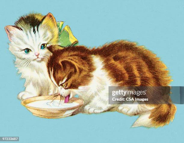 kittens - kitten stock illustrations