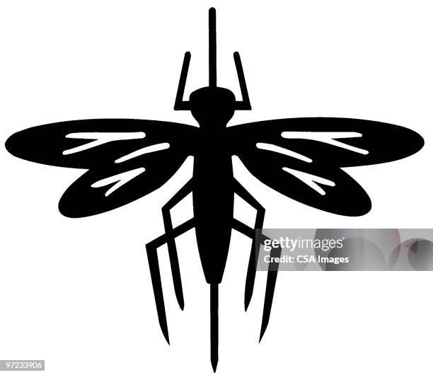mosquito - hornet stock illustrations