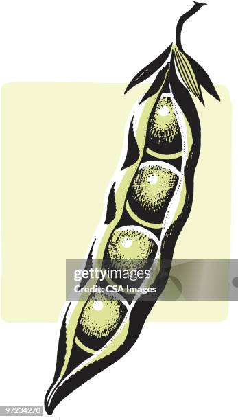 peas in a pod - エンドウマメの鞘点のイラスト素材／クリップアート素材／マンガ素材／アイコン素材