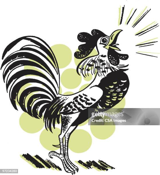 rooster - waking up stock illustrations