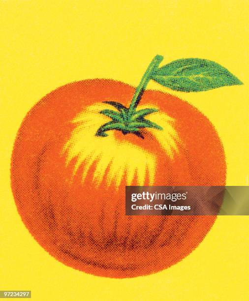 woman grocery shopping - tomato stock illustrations