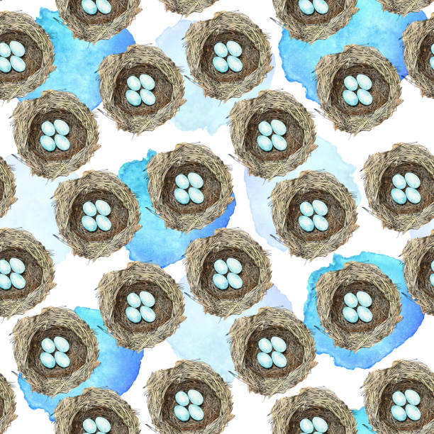 bird nest with eggs pen and ink vector seamless pattern - spring background top view stock illustrations