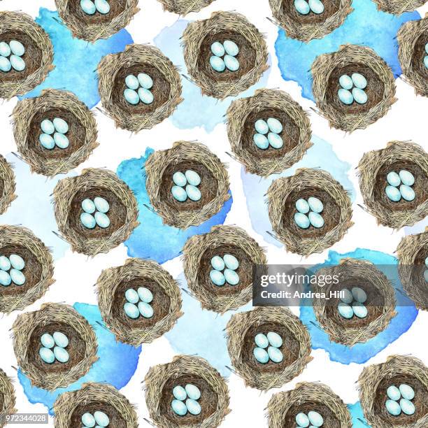 bird nest with eggs pen and ink vector seamless pattern - spring background top view stock illustrations