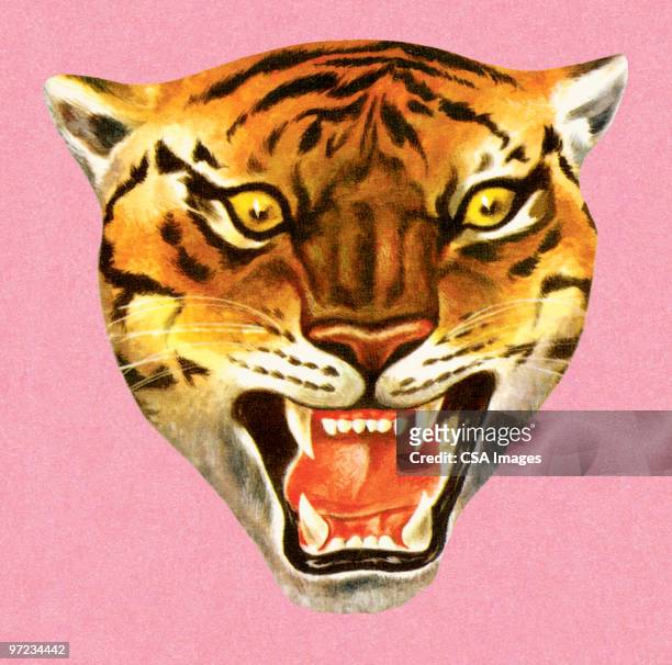 tiger - 虎 幅插畫檔、美工圖案、卡通及圖標