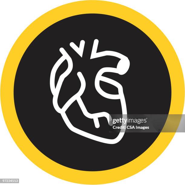 heart - anatomical valve stock illustrations