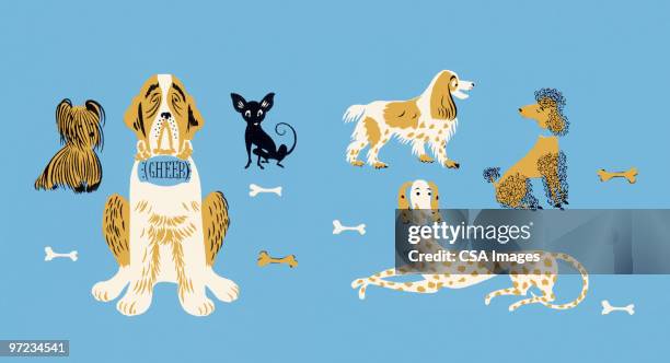 dogs and bones - dog breeds stock illustrations