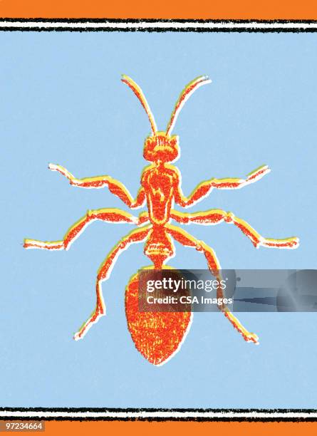 Ant Color Background 18 Ants Colored Background High Res Illustrations - Getty Images